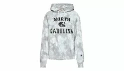 Champion Hooded Sweatshirt Gris / Grey