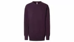 The North Face W City Standard Sweater Bordeaux / Burgundy